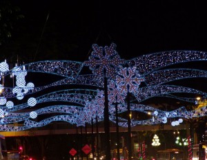 Cadde Işık Süsleme